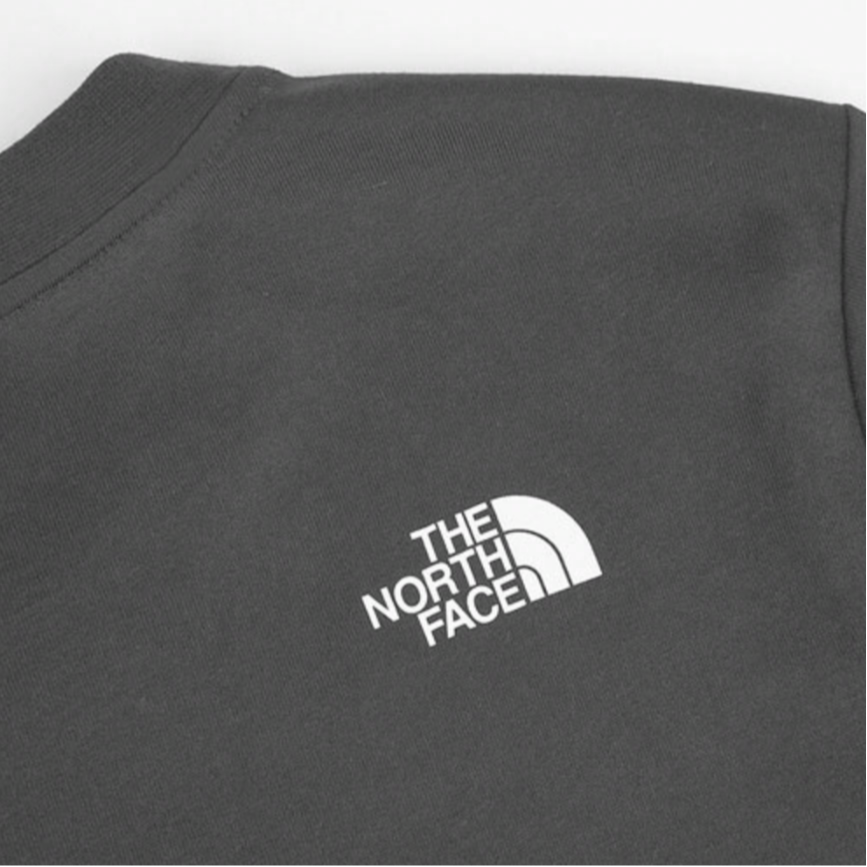 Мужская футболка The North Face (черная) — фото 2