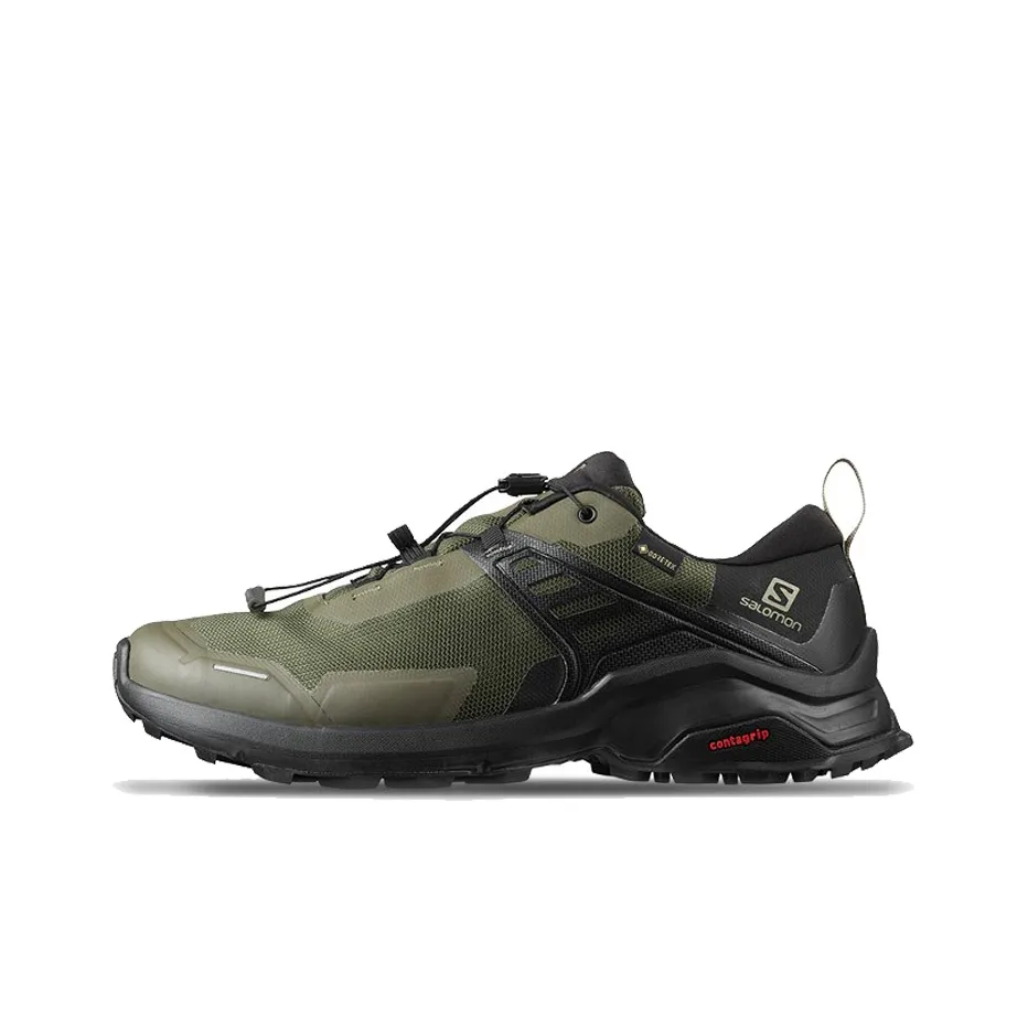 SALOMON X Raise Gtx 'Grape Leaf' / L00