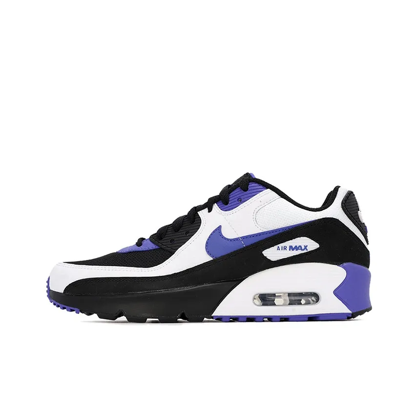 Nike Air Max 90 LTR Persian Violet GS