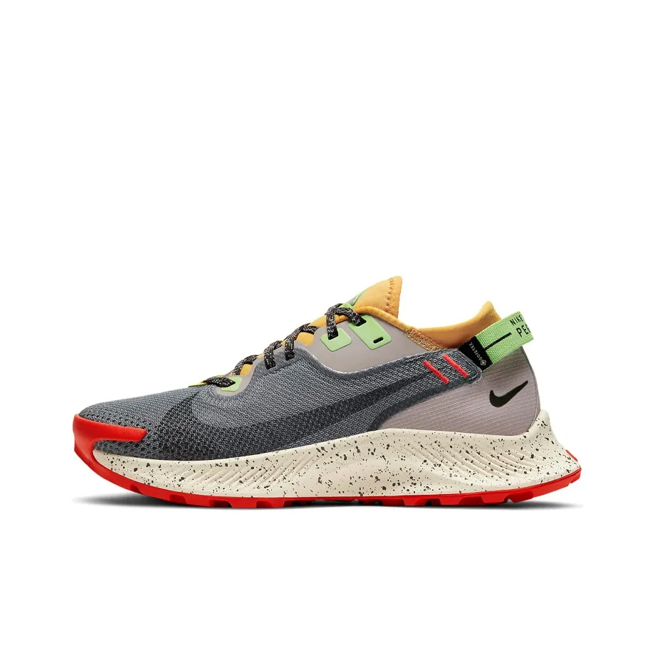 Nike Pegasus Trail 2 Gore Tex Smoke Grey Bucktan Women's