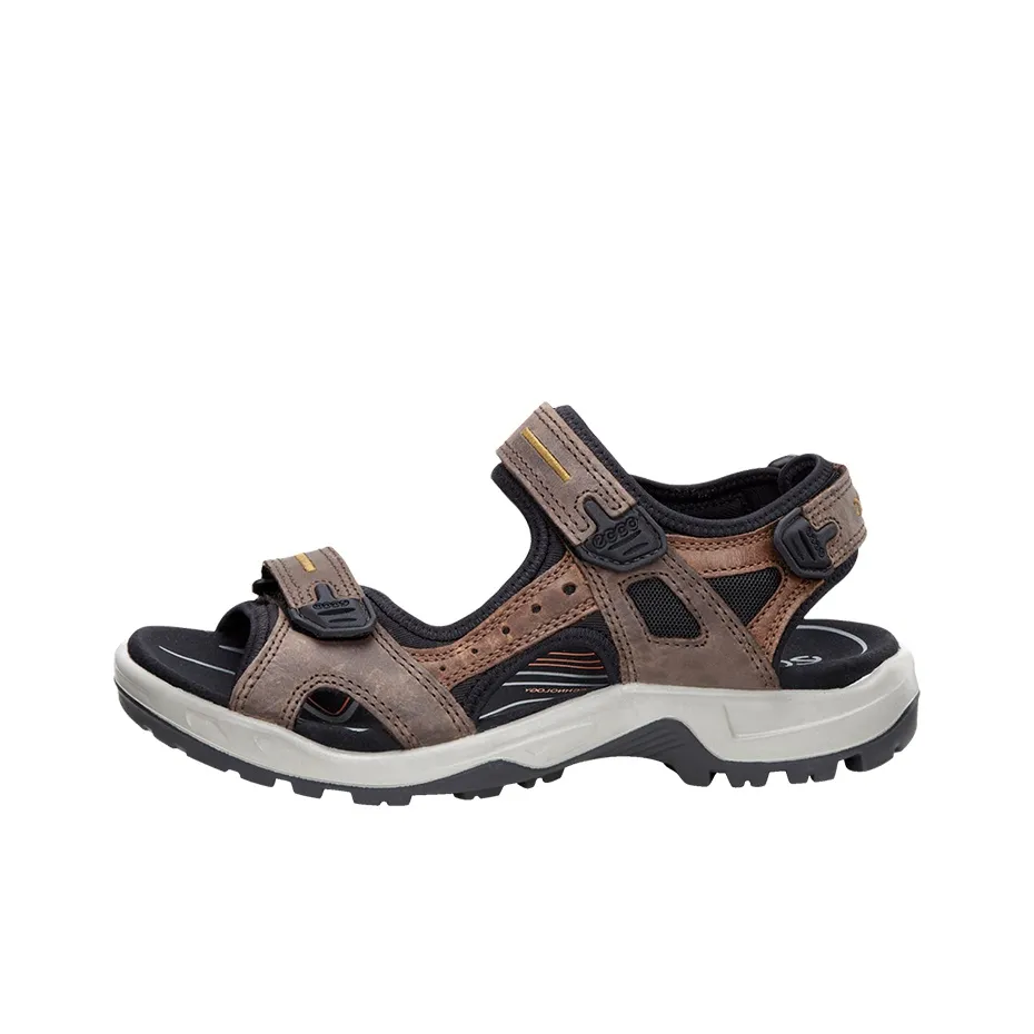 Ecco Пляжные сандалии Мужской