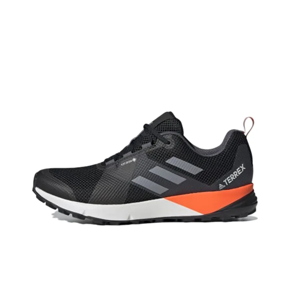 Adidas Terrex Two Gtx 'Black' Sneakers