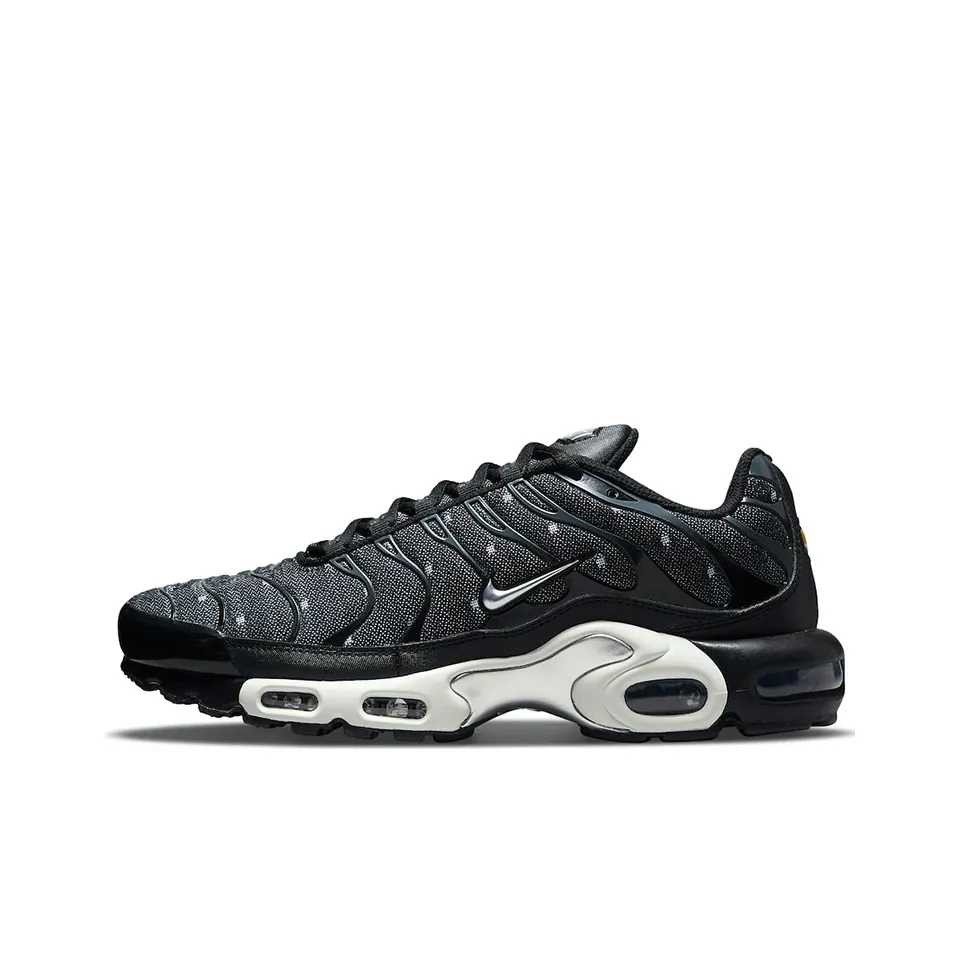 Nike Air Max Plus Se Black Chrome