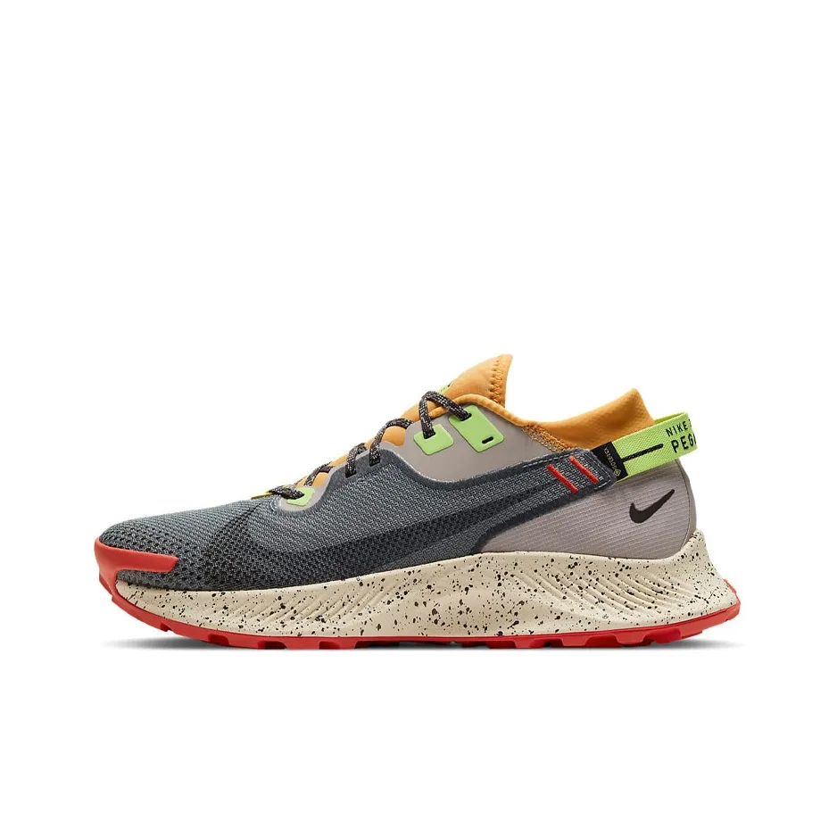 Nike Pegasus Trail 2 Gore Tex Smoke Grey Bucktan