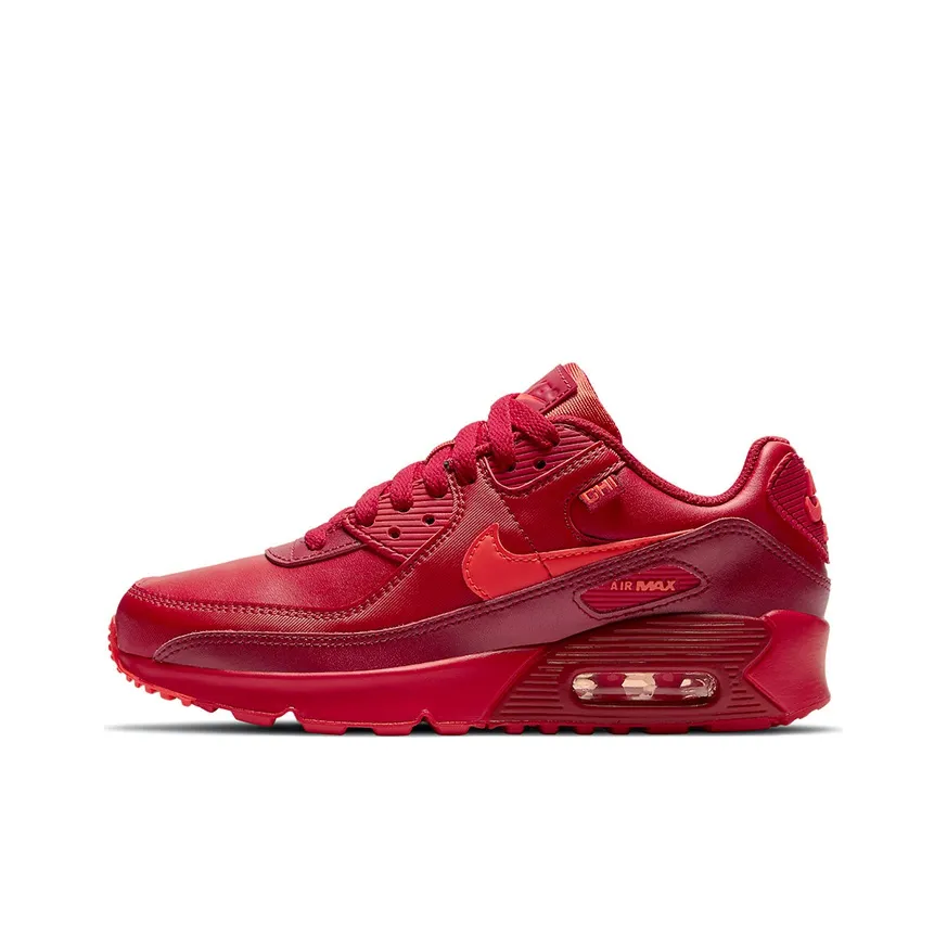 Nike Air Max 90 City Special Chicago GS