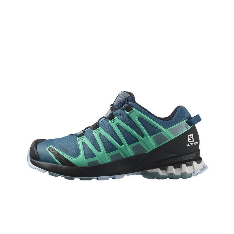 SALOMON XA Pro 3D V8 Mountaineering & Hiking Shoes Women's Low Top Blue