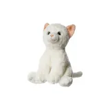 미니 화이트 고양이