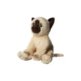 미니 Siamese 고양이