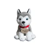 Husky 강아지