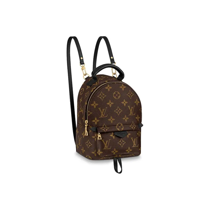 LOUIS VUITTON Palm Springs Coated Canvas Cow Leather Patchwork Trim Small Backpack/Mini Backpack Mini Women's Brown