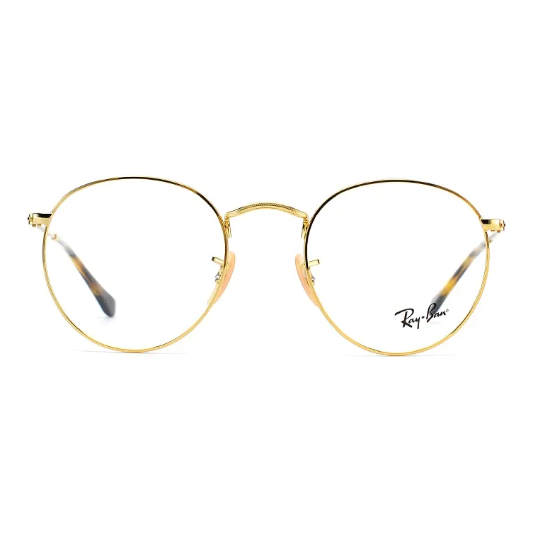 RayBan Round Frame Glasses