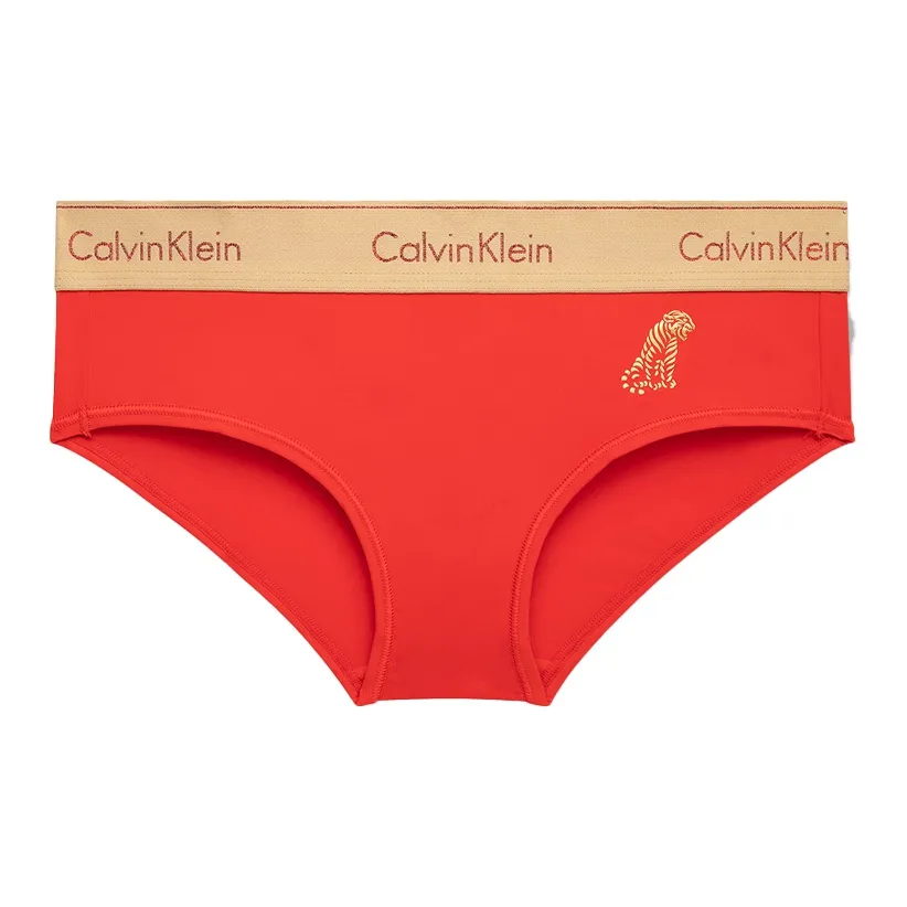 Calvin Klein Women's Briefs