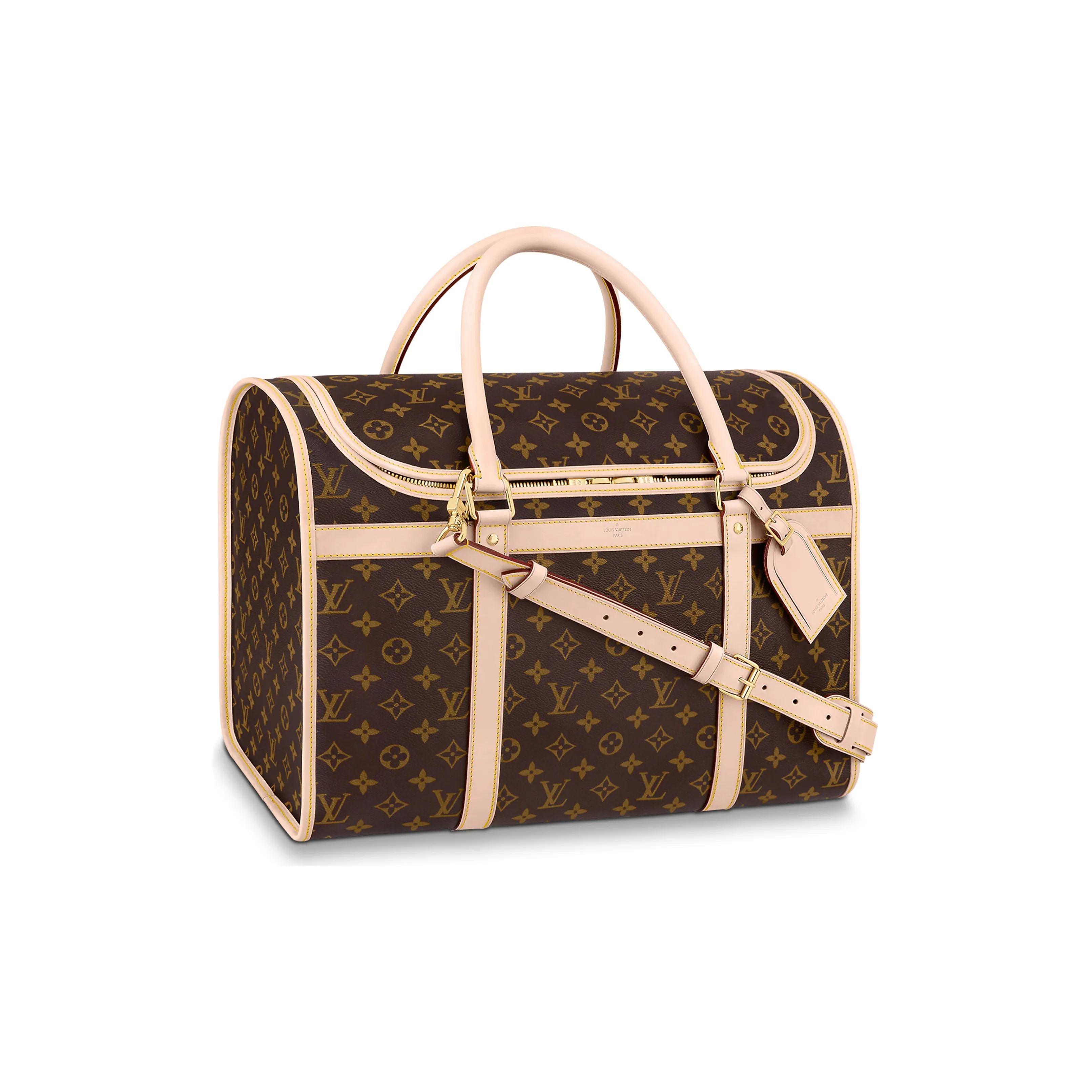 Lv None