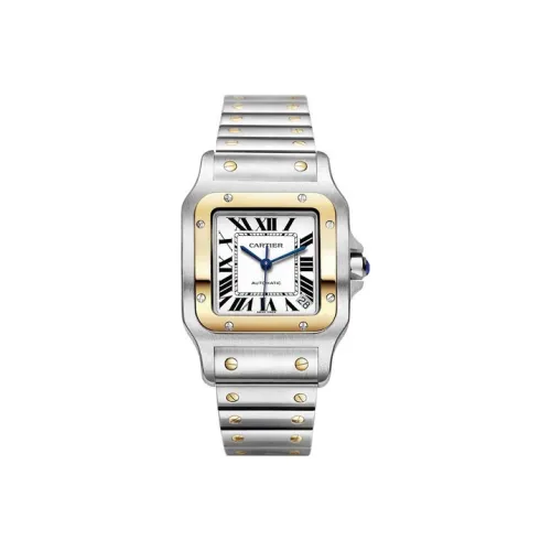 CARTIER Автоматический Механический Movement Мужские SANTOS DE Часы 34,87MM*45,54mm*8,67mm Серебряный