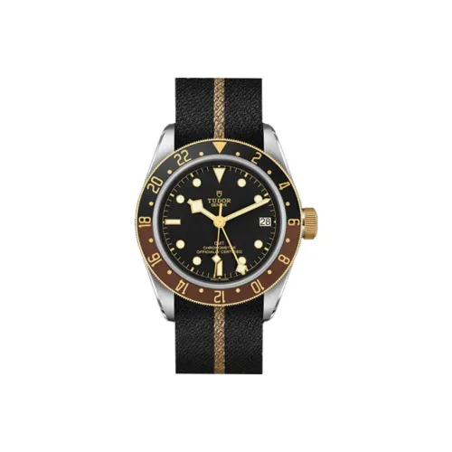 TUDOR Автоматический Механический Movement Мужские Часы из коллекции BLACK BAY, 41 мм, Черный