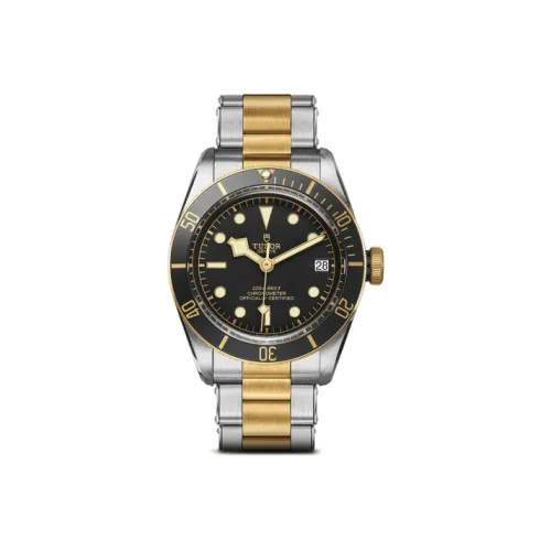 TUDOR Автоматический Механический Movement Мужские Часы Enlightenment Collection 41 мм Черные