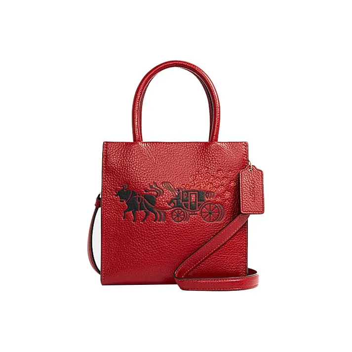 COACH Cally Кожа Тоут Сумка Сумка для покупок Тоут Сумка с боковинами-гармошками Сумка Сумка через плечо Сумка через плечо Мини Женские Красный