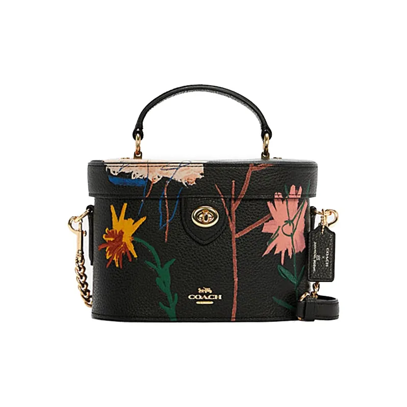 COACH Jean Michel Basquiat Коллаборация Kay PVC Сумка для макияжа Коробка Сумка через плечо Маленькая женская черная с узором