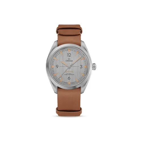 OMEGA Автоматический Механический Movement Мужские Seahorse Collection Часы 40 мм Серые