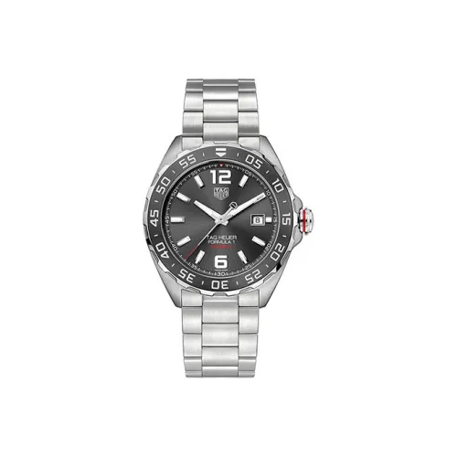 TAG HEUER Автоматический Механический Movement Мужские Часы F1 Collection 43 мм Серые
