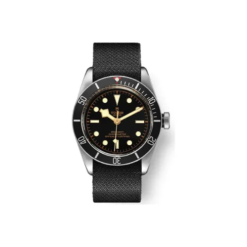 TUDOR Автоматический Механический Movement Мужские Часы из коллекции BLACK BAY, 41 мм, Черный