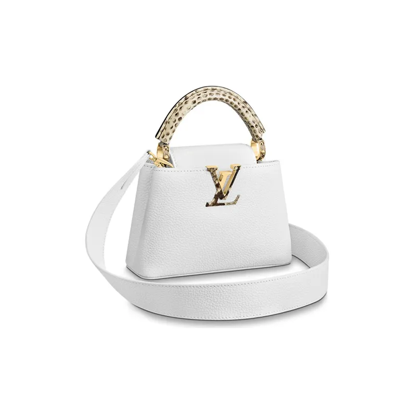 LOUIS VUITTON Capucines Python Skin Trim Capson Handbag, Shoulder Bag, Crossbody Bag Mini Women's