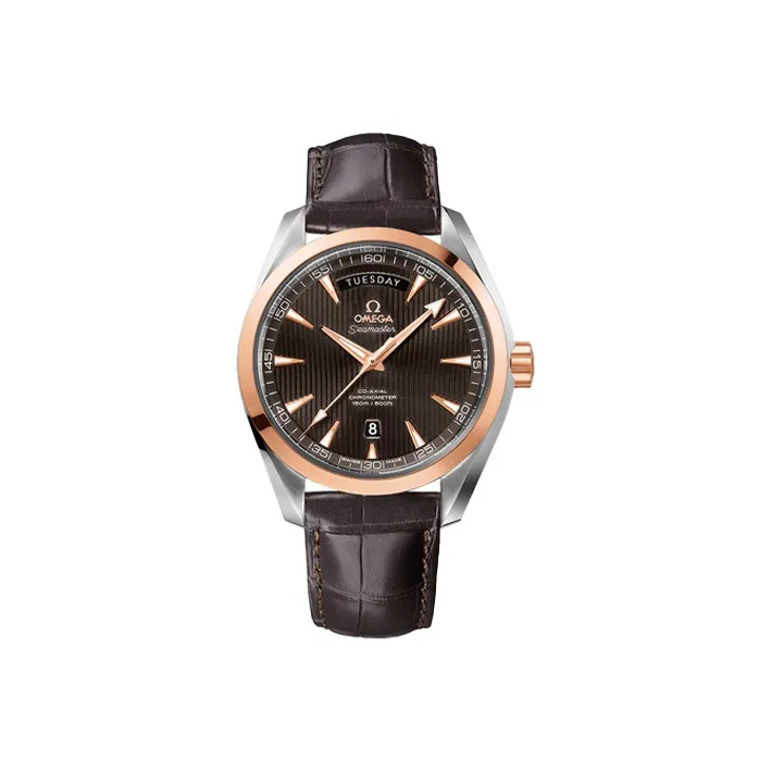 OMEGA Men's AQUA TERRA 150 Meters Watch