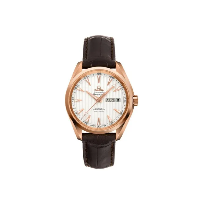 OMEGA Men's AQUA TERRA 150 Meters Watch