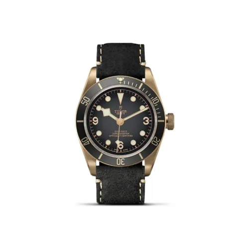 TUDOR Автоматический Механический Movement Мужские Часы из коллекции BLACK BAY, 43 мм, Черный