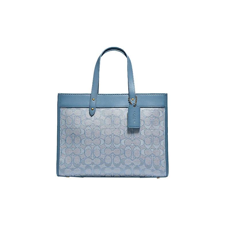 Discover the Best Light Blue Coach Shoulder Bags for 2024