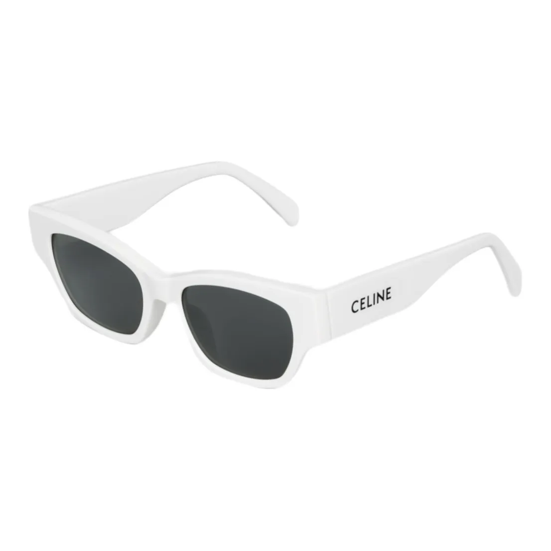 CELINE Monochroms 01 Sunglasses In Acetate