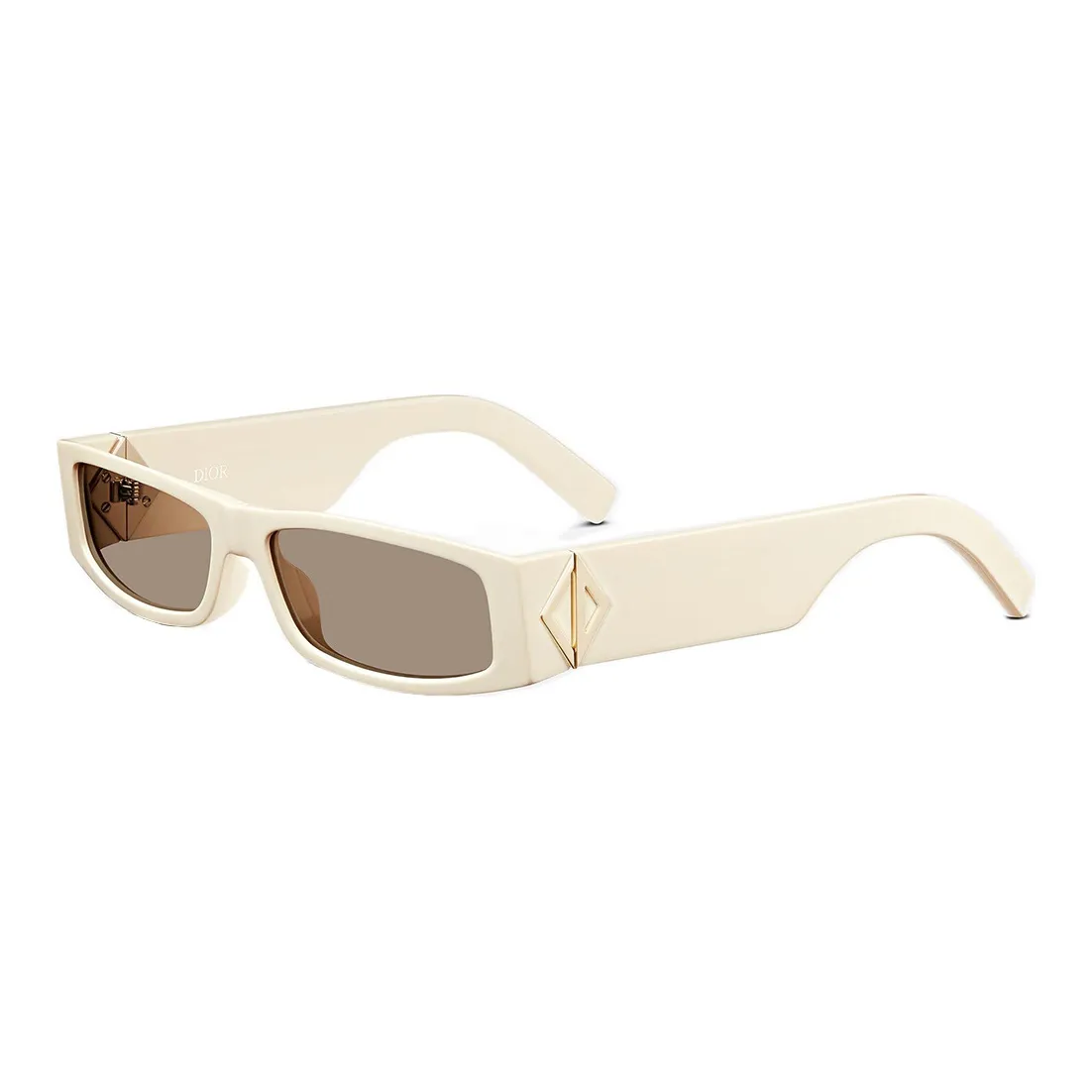 DIOR X Cactus Jack Cd Diamond S1I Sunglasses