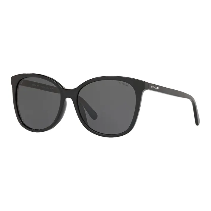 COACH Oval Sunglasses Unisex Black