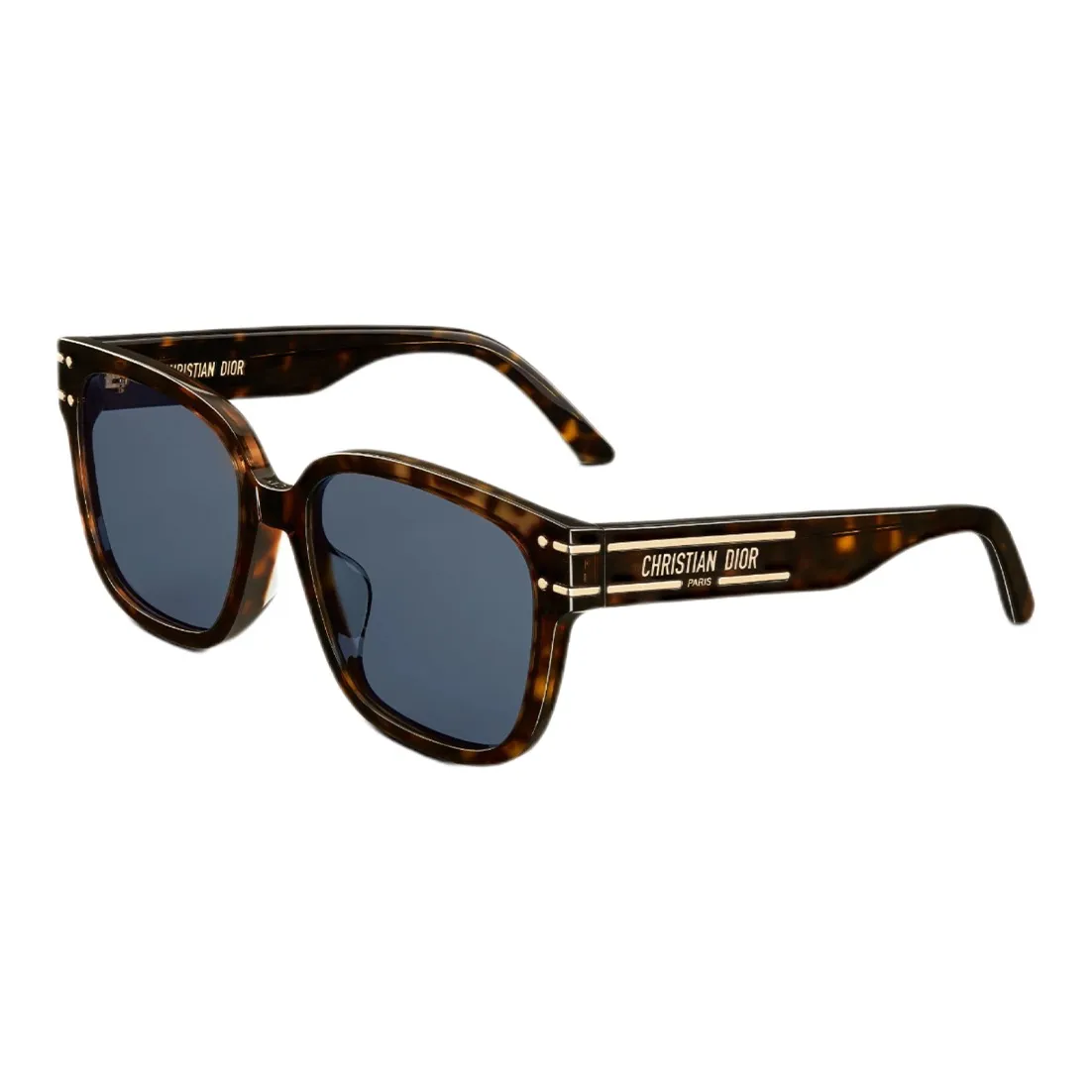 DIOR Acetate Square Sunglasses Unisex
