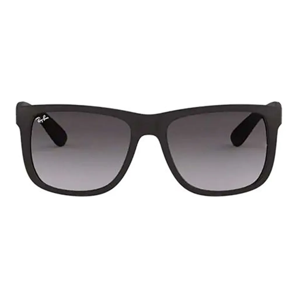 mens the ferris sunglasses
