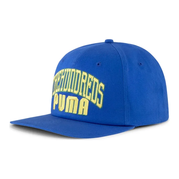 PUMA Хлопок Бейсболка Синяя Унисекс