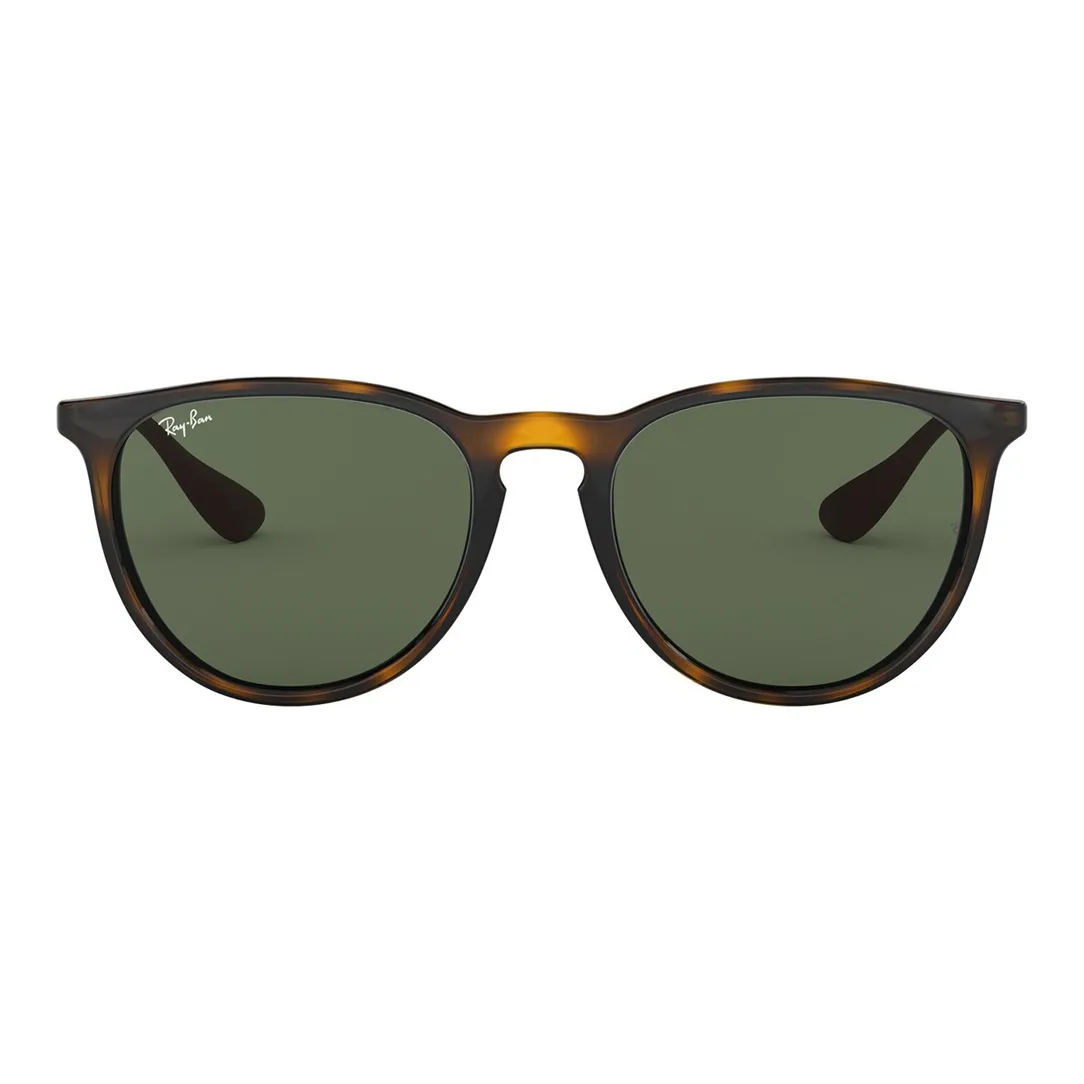 RayBan Erika Classic Sunglasses