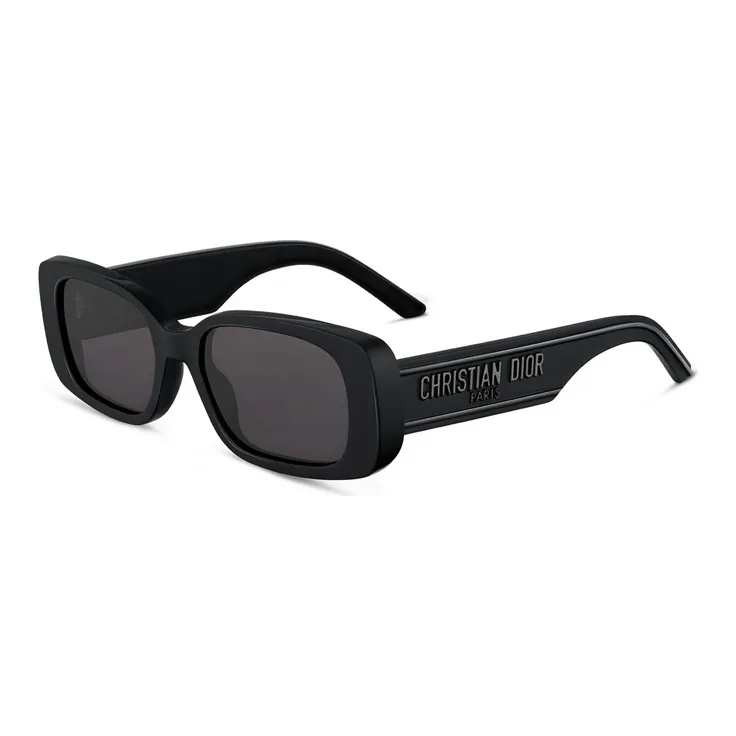 DIOR Eyewear WilDIOR S2U Sunglasses Black