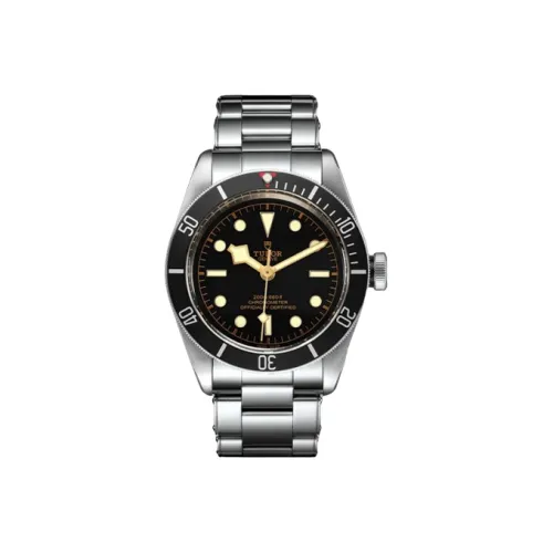 TUDOR Автоматический Механический Movement Мужские Часы из коллекции BLACK BAY, 41 мм, Черный