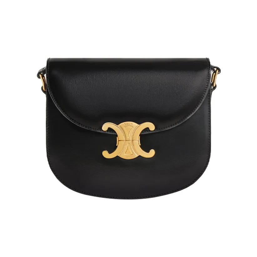 CELINE Besace Shiny Cow Leather Crossbody Bag, Shoulder Bag Small Women's Black