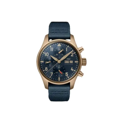 IWC Автоматический Механический Movement Мужские Часы Pilot Collection 41 мм Синие