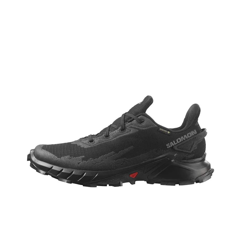 SALOMON Alphacross 4 GORE TEX 'Black'