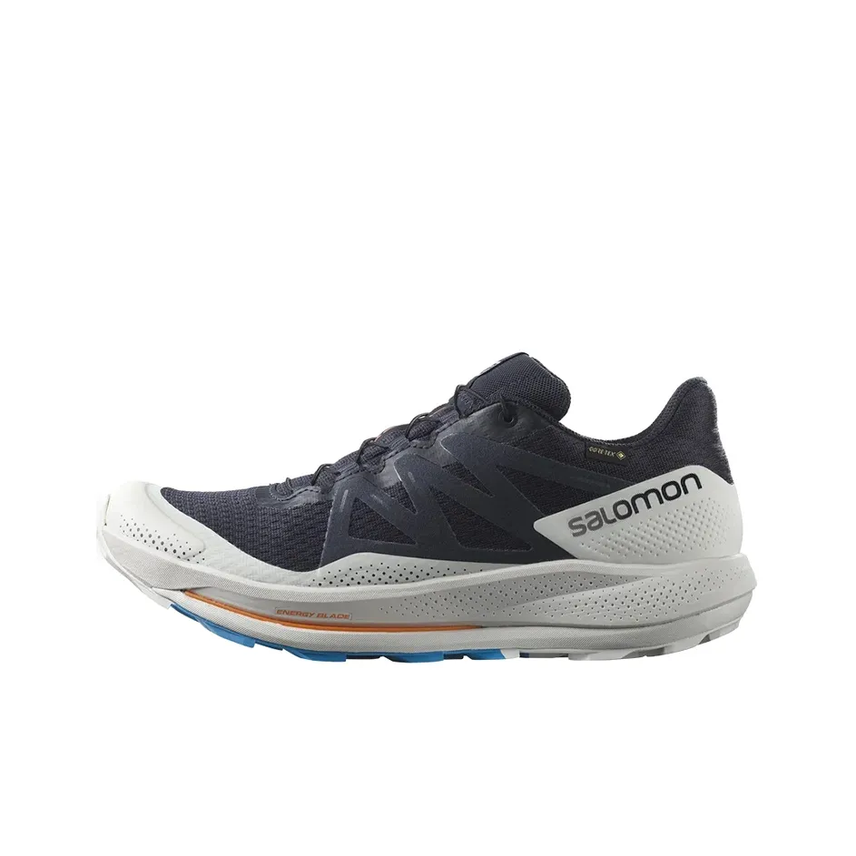 SALOMON Pulsar Trail Gtx 'Night Sky' / L00