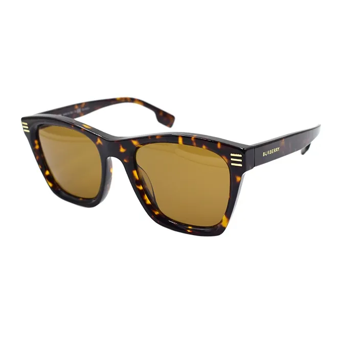 Burberry Sunglasses Men's