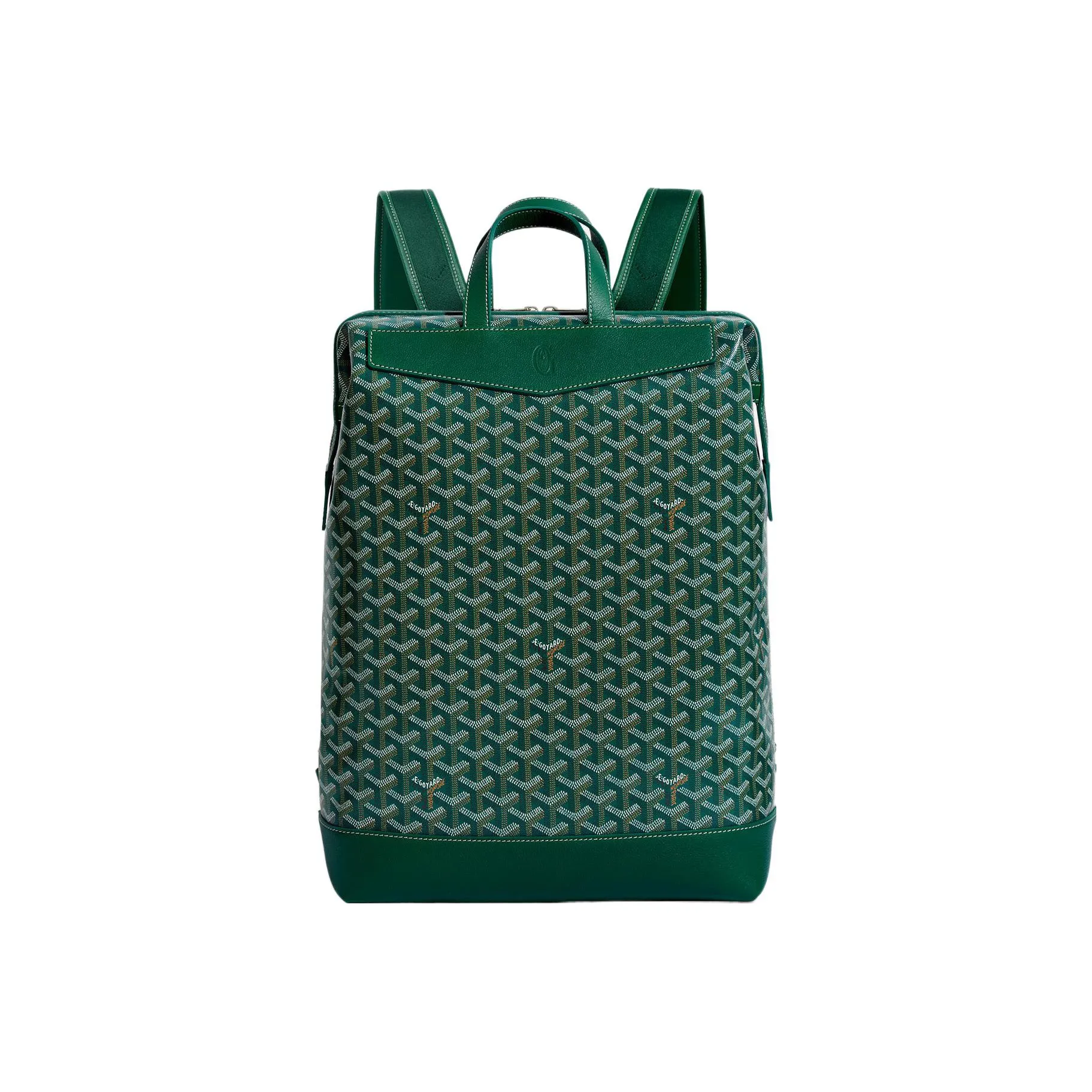 GOYARD Cisalpin Canvas Leather Backpack Unisex Green