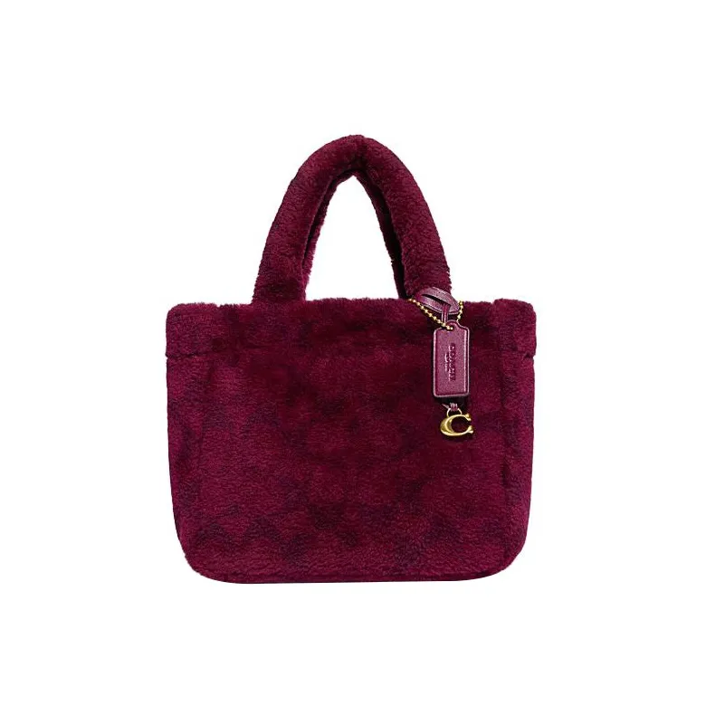 COACH Handbags