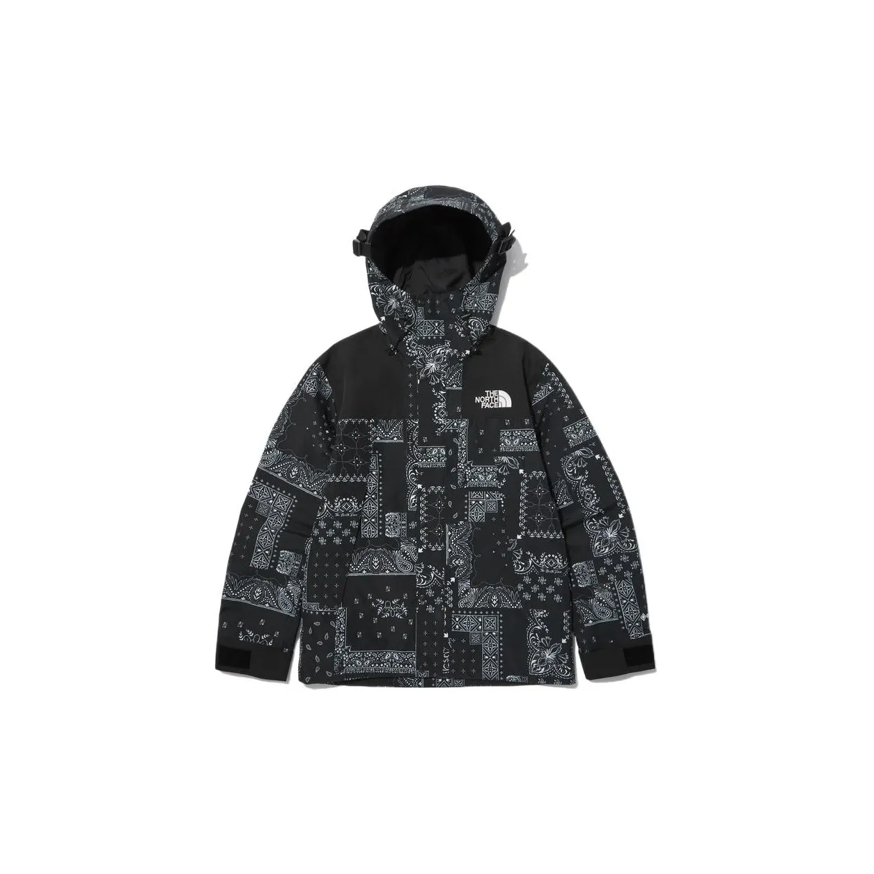 THE NORTH FACE Novelty Eco Gtx Mountain Jacket Matt Black Unisex Korea Version