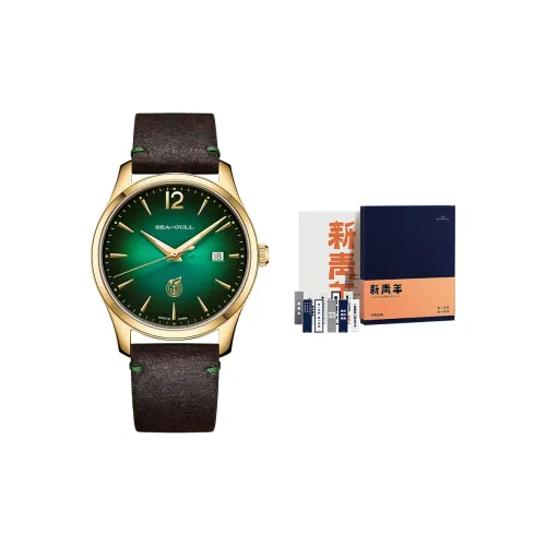 Sea Gull Автоматический Механический Movement Мужские Часы 40mm*40mm*40mm Зеленый