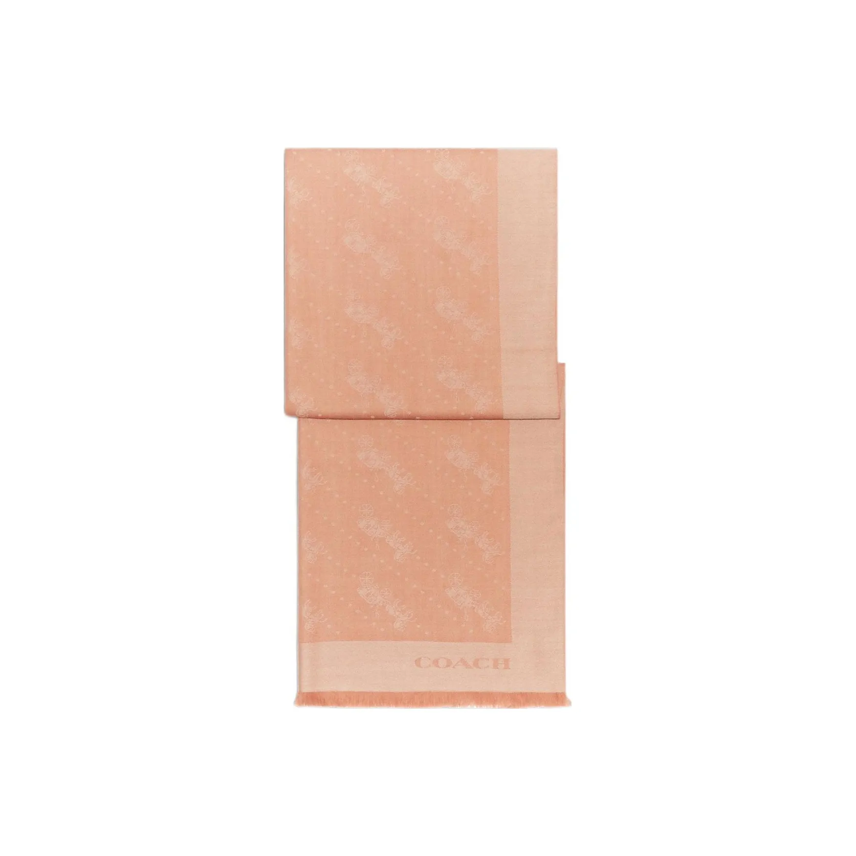 COACH Шерсть Палантины Апельсин Женские