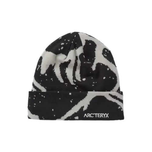 Arcteryx Полиэстер Шапки-бини Унисекс